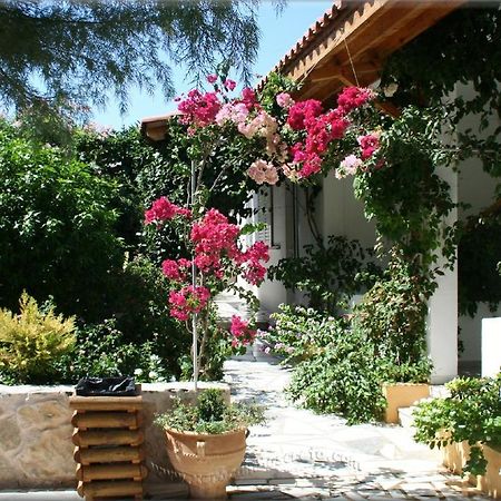 קסרוקמפוס Ampelos Apartment And Studios מראה חיצוני תמונה